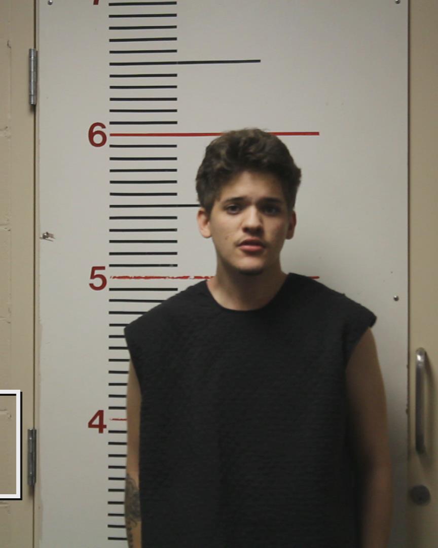 DAVIS, RYLAN PAUL booking photo