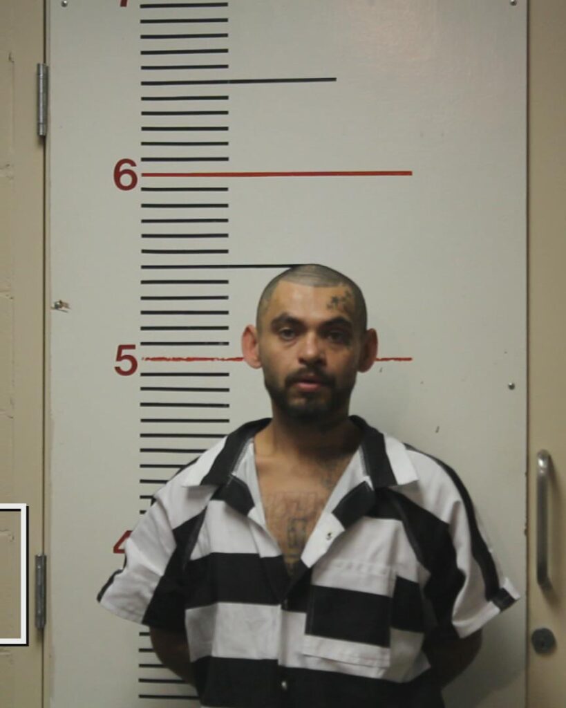 SEGURA, AUGUSTINE MICHAEL, Jr. booking photo
