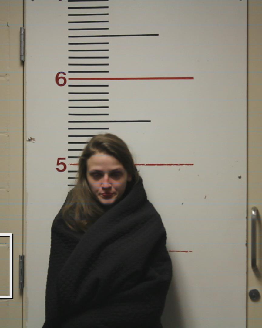 HOLBROOK, MAYCIE LOGAN arrested by Palestine Police Dept.