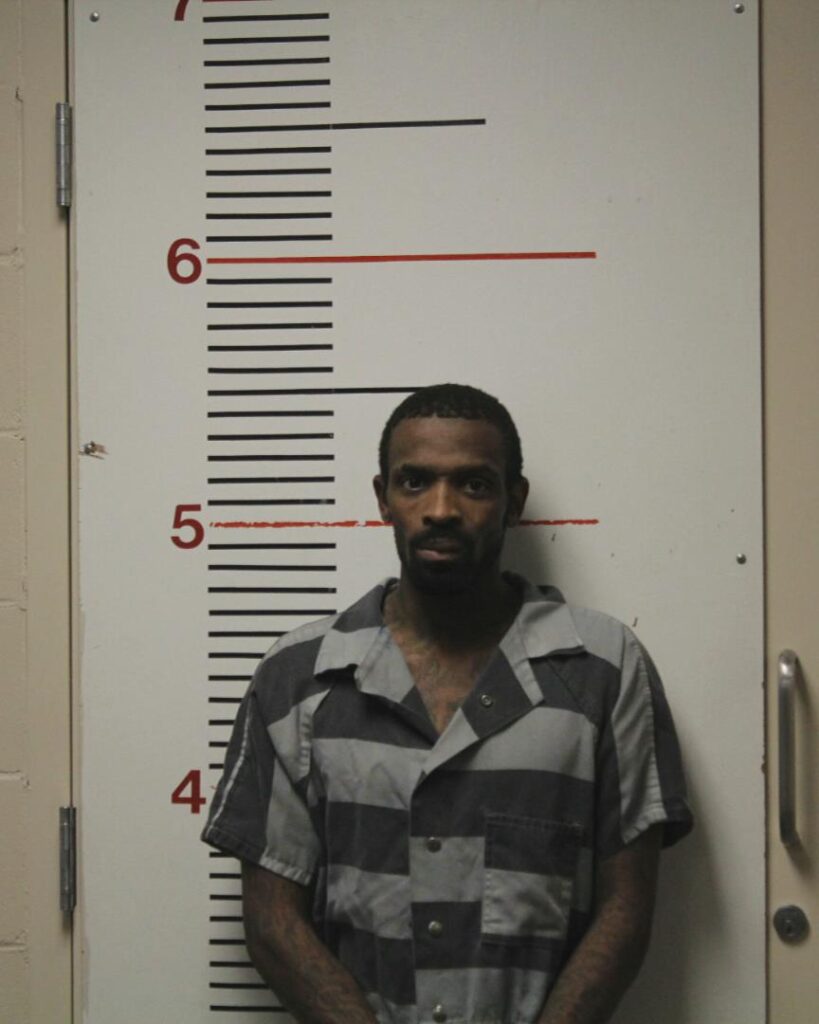 PURVIS, LETERIAN DESHUN booking photo