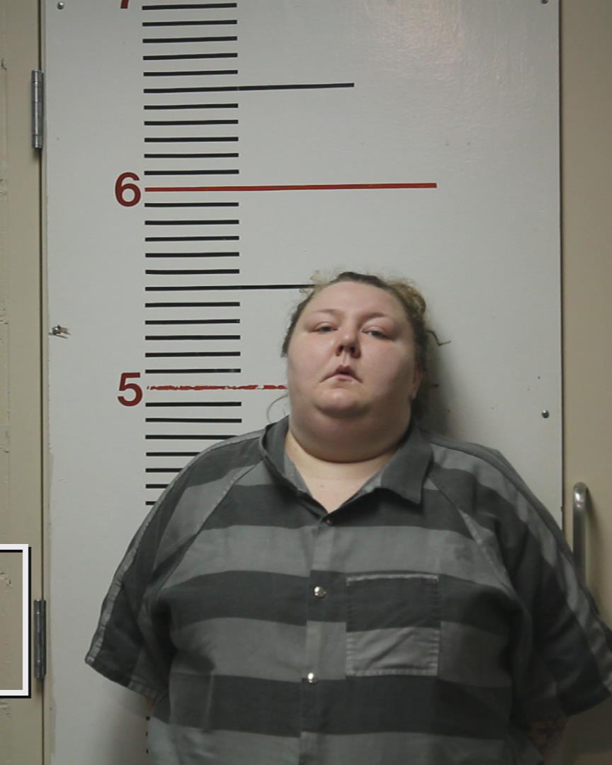 ANNELER, RYLEE KAYE arrested by Anderson County Sheriff’s Office