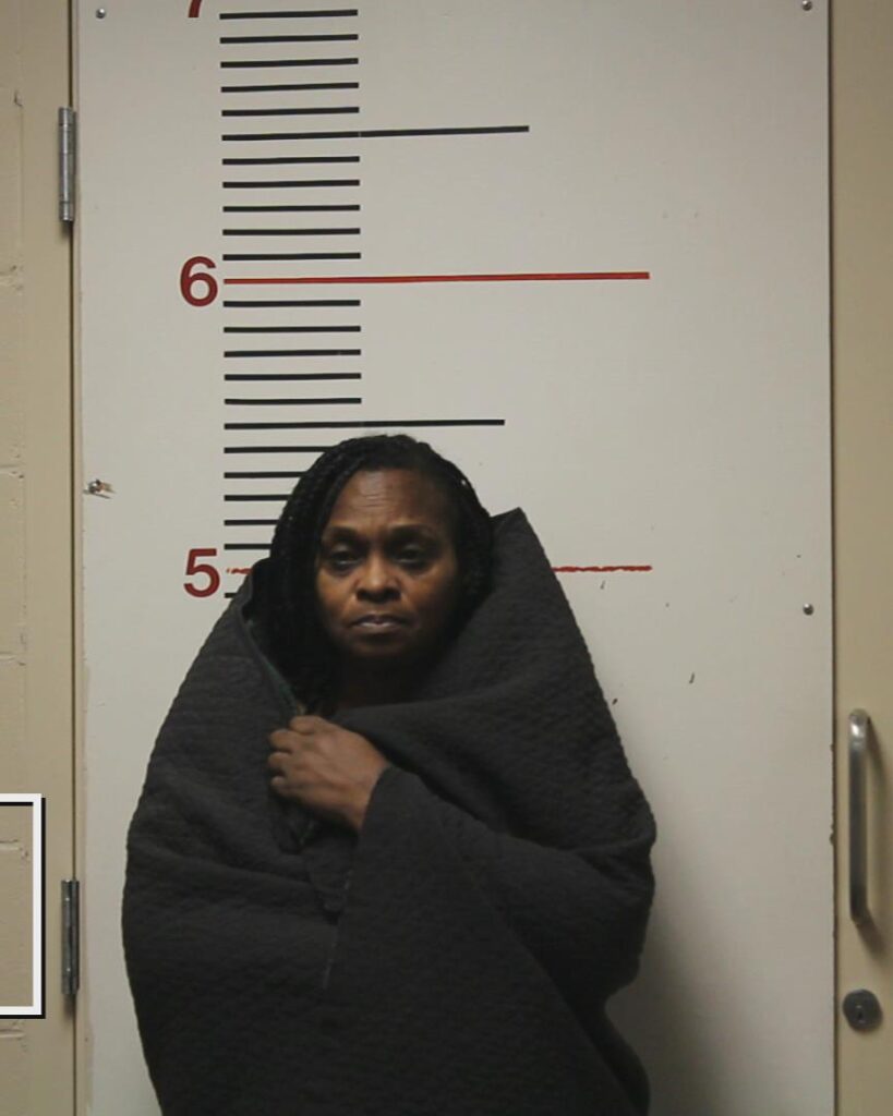 JOHNSON, KIMBERLY MICHELLE booking photo