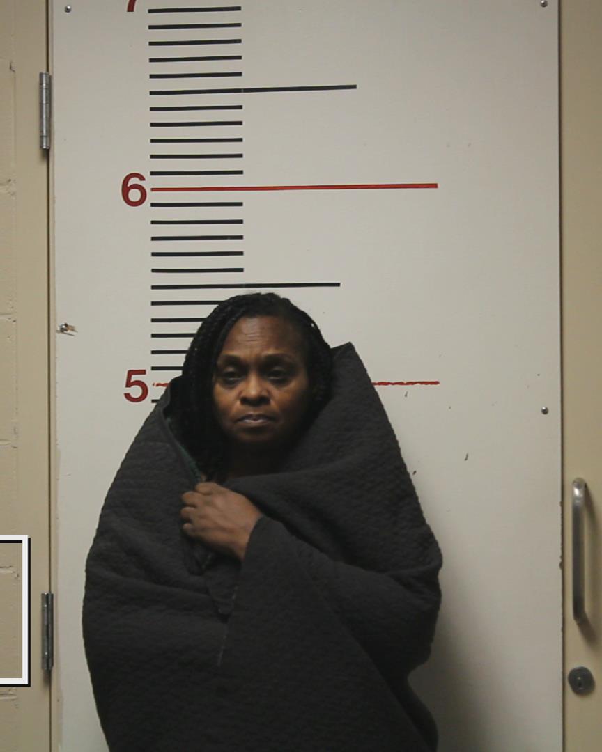 JOHNSON, KIMBERLY MICHELLE arrested by Anderson County Sheriff’s Office