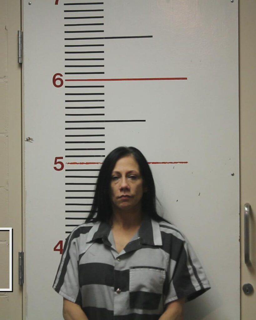 BRIMBERRY, HOLLIE LEANN booking photo