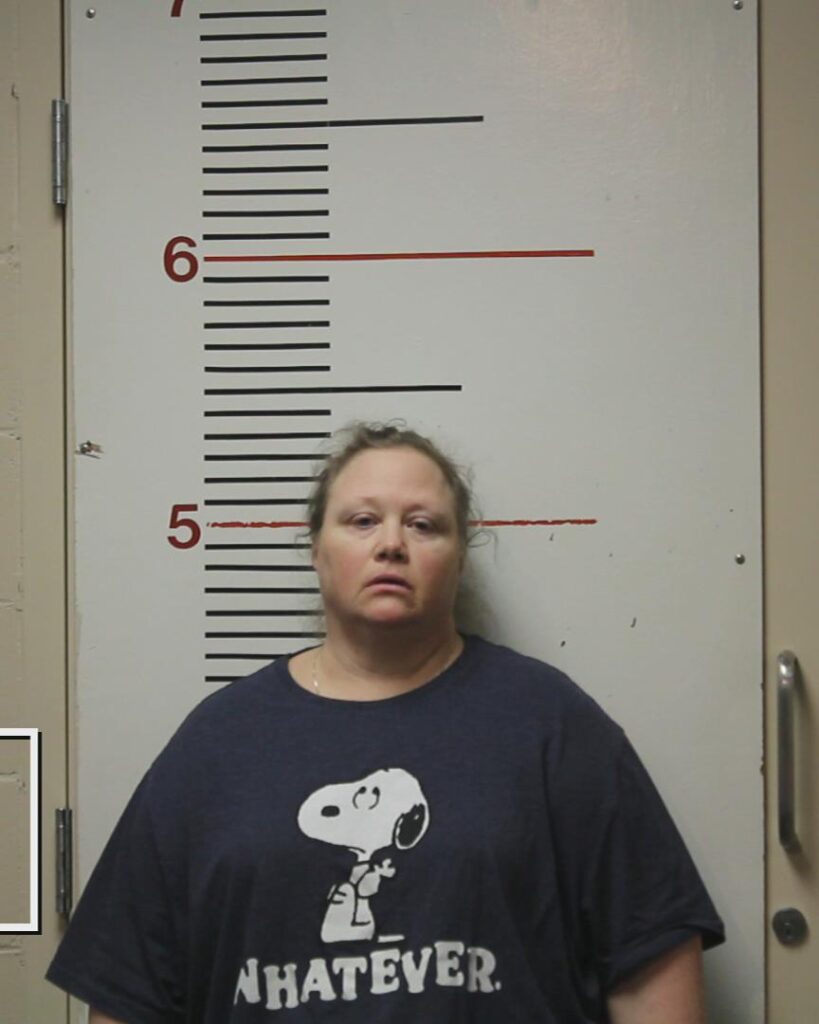 HARRIS, CHERYL DYN booking photo