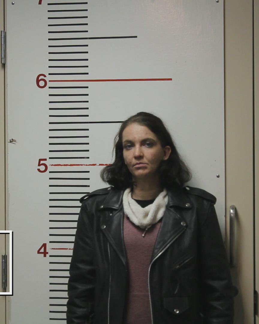 BURFORD, TABITHA ANNE arrested by Anderson County Sheriff’s Office