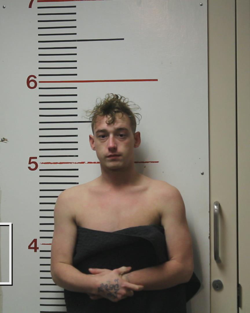 YELVERTON, JOSHUA TROY arrested by Palestine Police Dept.