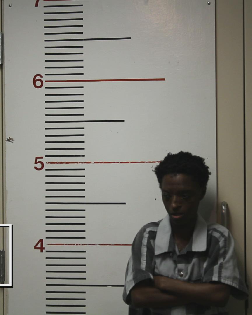 WARE, CATHERINE LEE arrested by Palestine Police Dept.