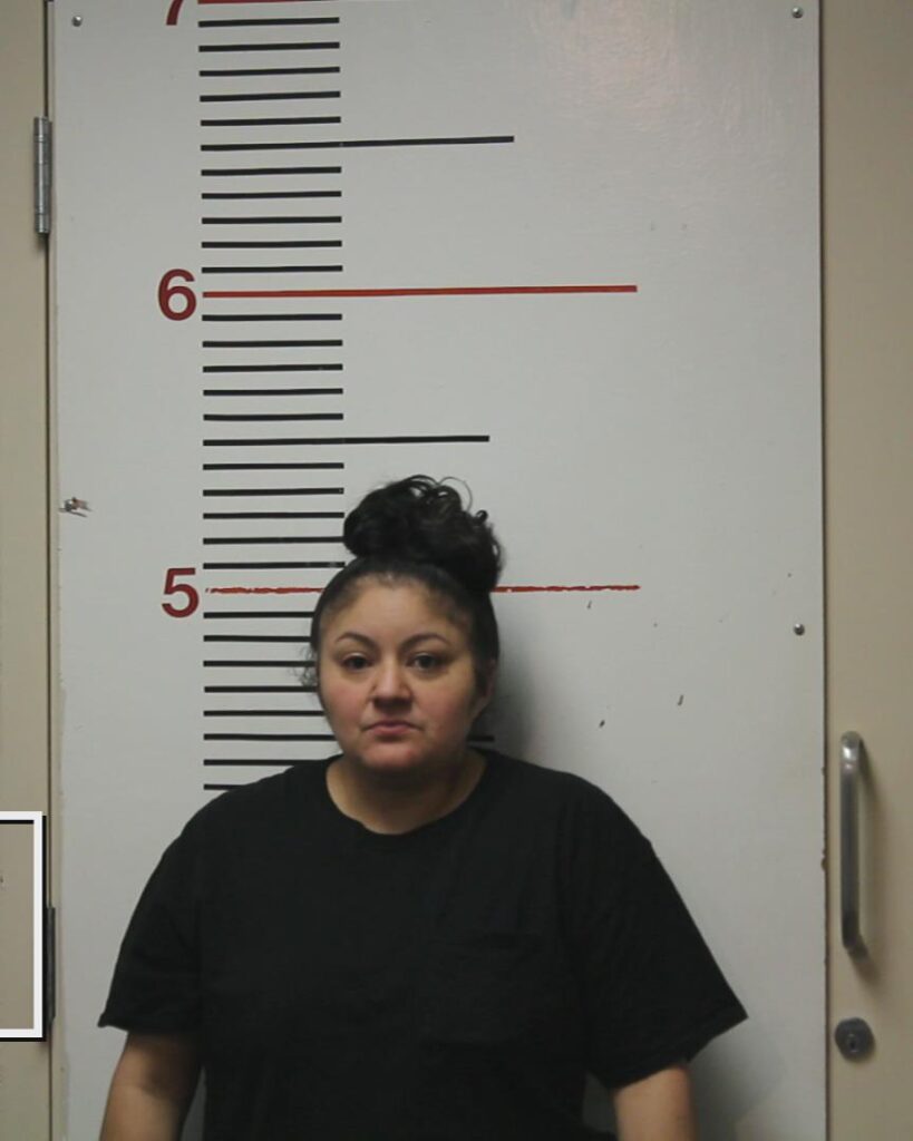 PEREZ, LILY ANN booking photo
