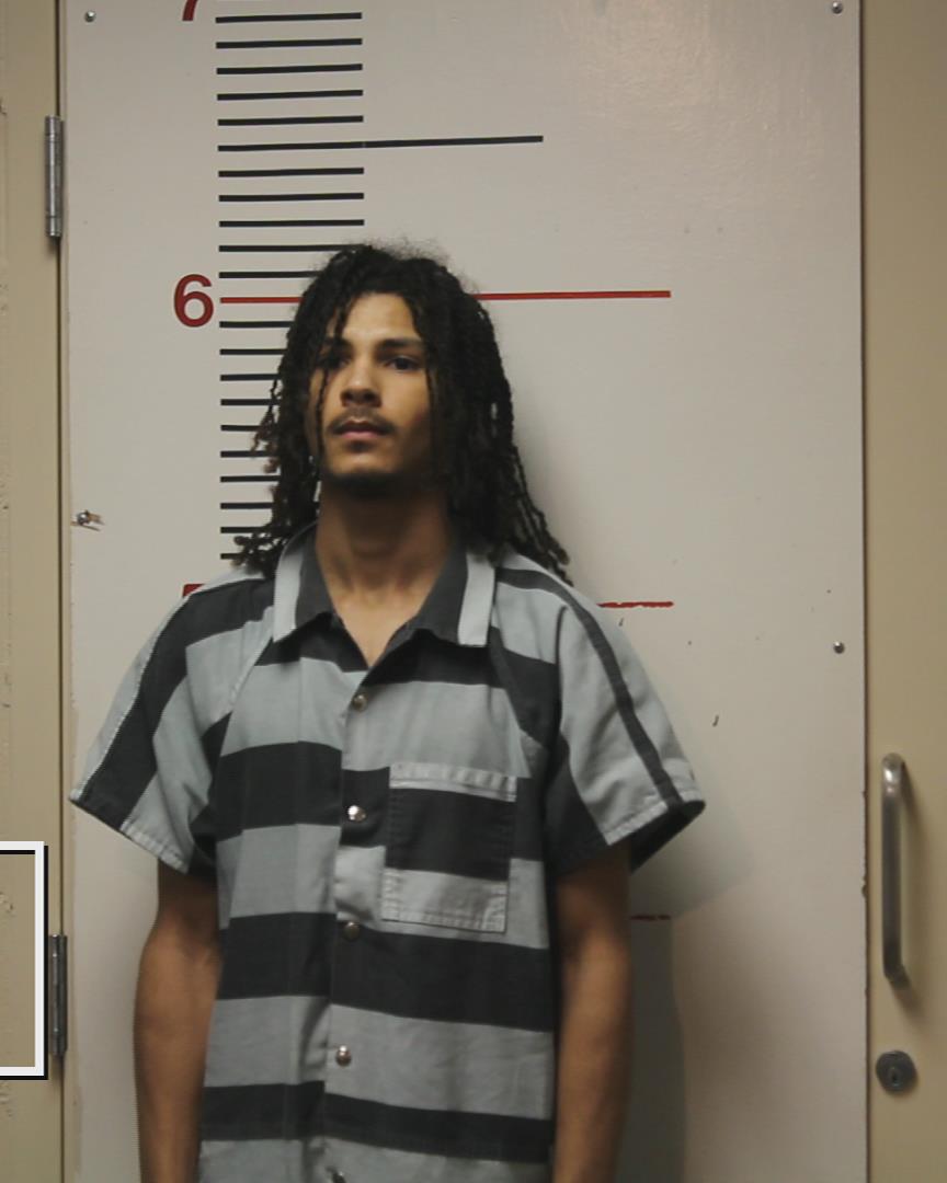 BROWN, MALIK QUILLON arrested by Palestine Police Dept.