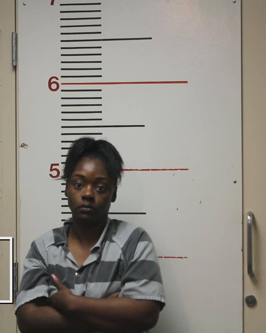 Davidson, LLOYDESHIA LAFAE-MARSHELL arrested by Palestine Police Dept.