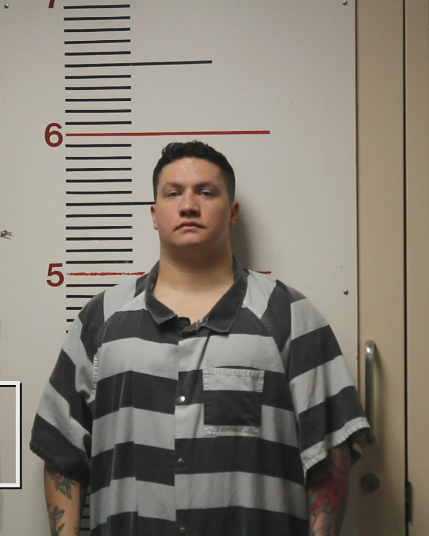 VAN HOUTTE, DAKODA MICHAEL arrested by Palestine Police Dept.