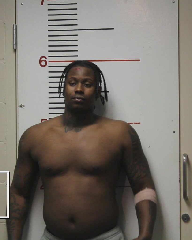 WILSON, CEDRIC LOWON booking photo