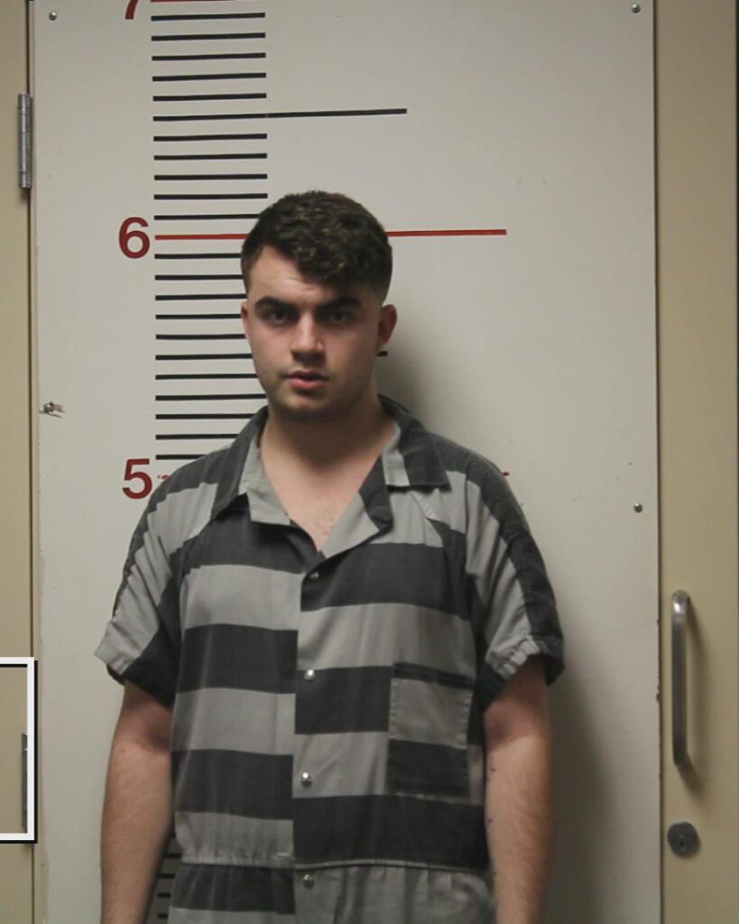 WILSON, TRISTON NEIL booking photo