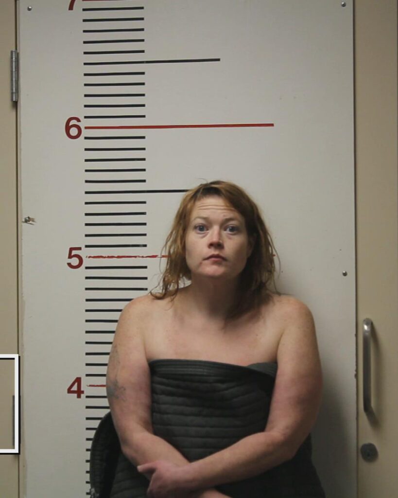 SHIPP, BARBARA IRENE booking photo