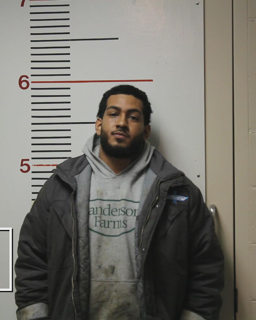 PETERSON, DEVIN D’WAYNE arrested by Palestine Police Dept.