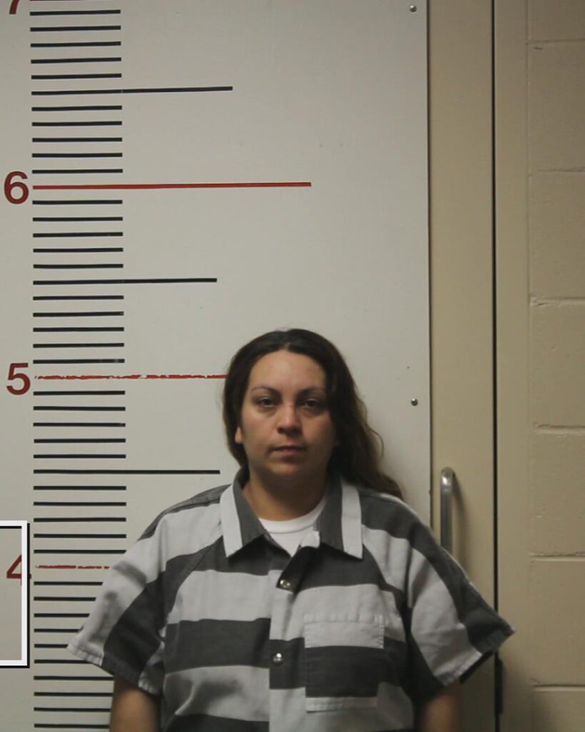 GIBSON, ANNIE DENISE booking photo