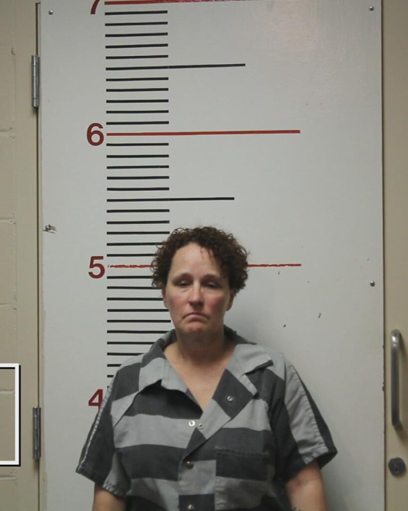 COLLINS-HARVEY, KAYECEE booking photo