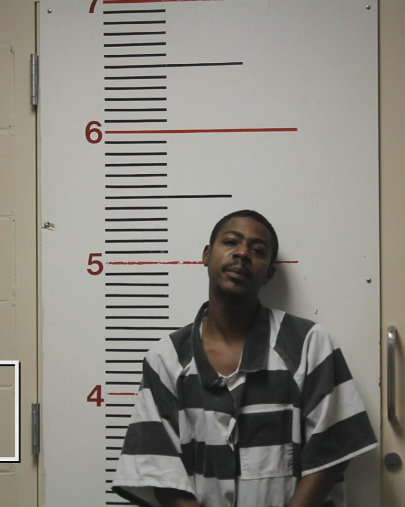 SHEPHERD, LESTER JAMES, Jr. booking photo