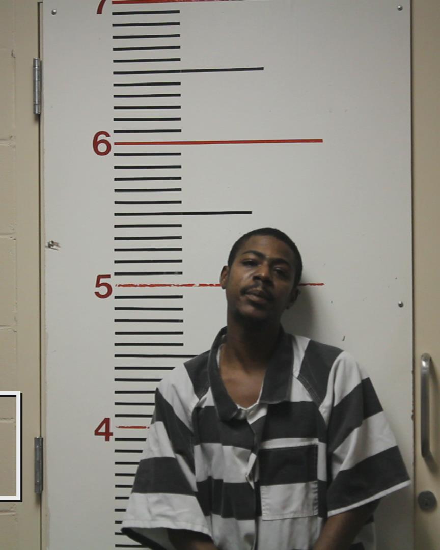 SHEPHERD, LESTER JAMES, Jr. arrested by Palestine Police Dept.