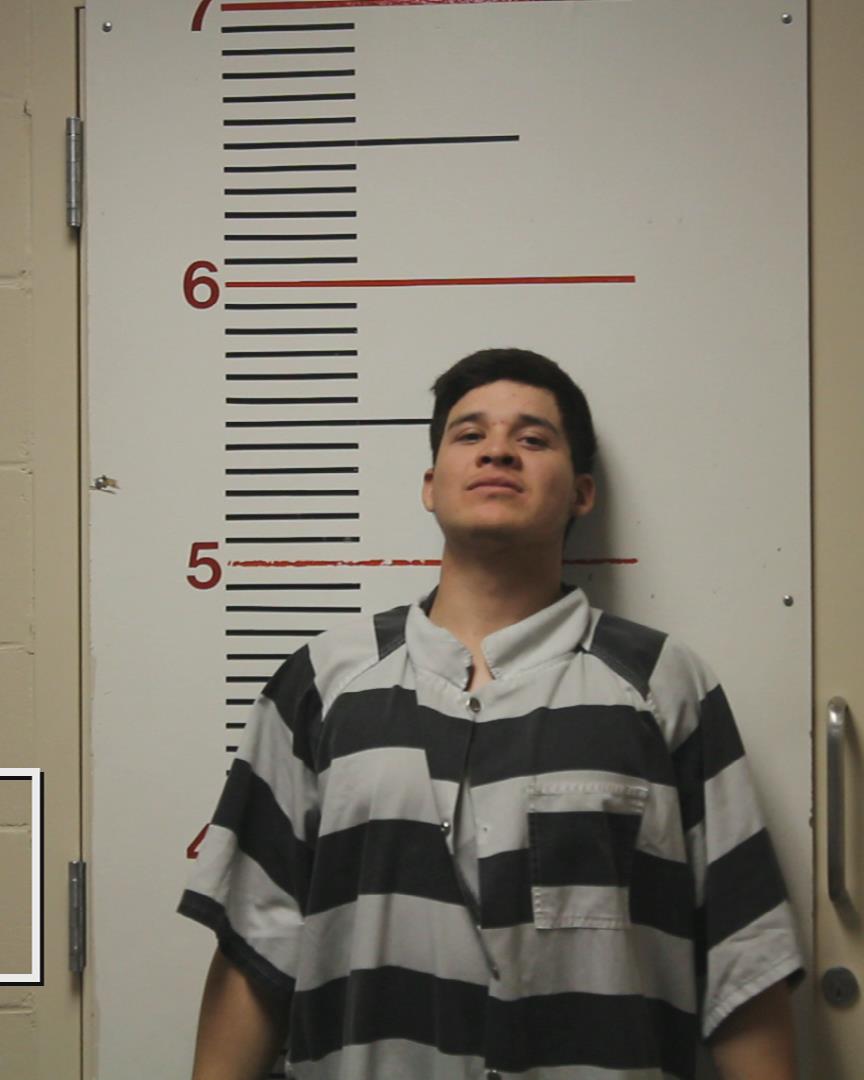 MENDOZA-RAMIREZ, LUIS GUSTAVO arrested by Department of Public Safety