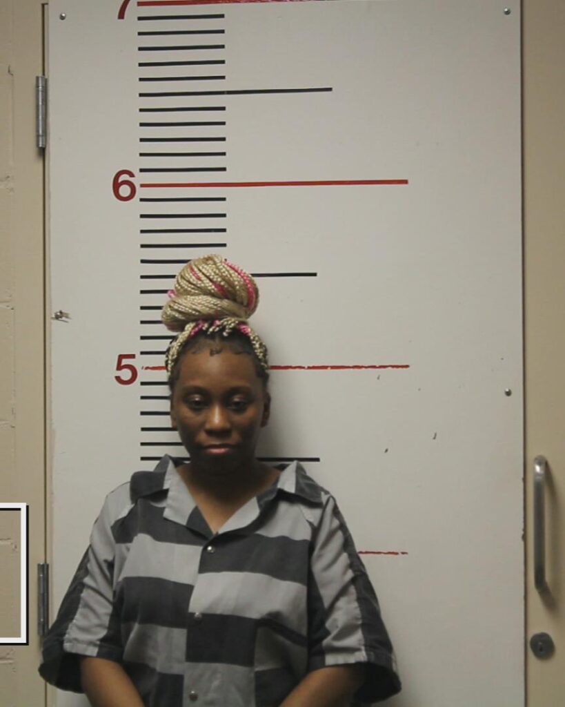 SHEPHERD, ALISON RENEE booking photo