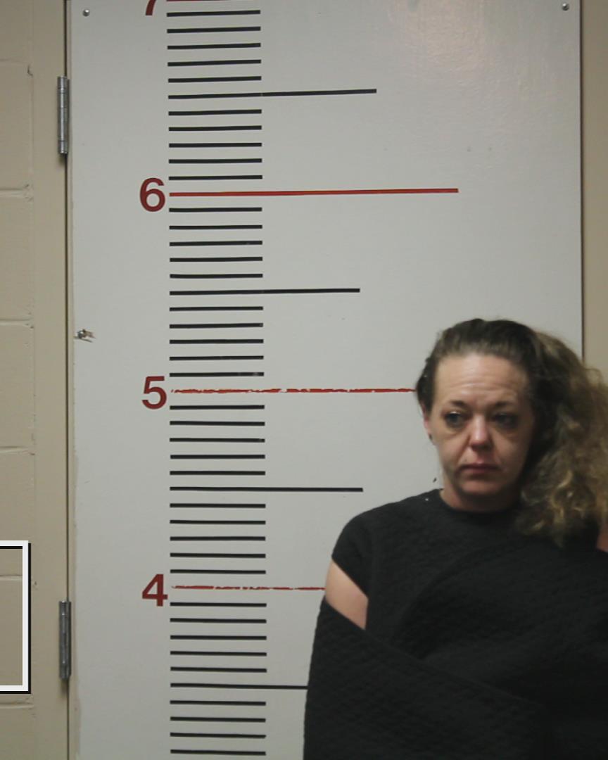 WARREN, KERRIE LYNN arrested by Palestine Police Dept.