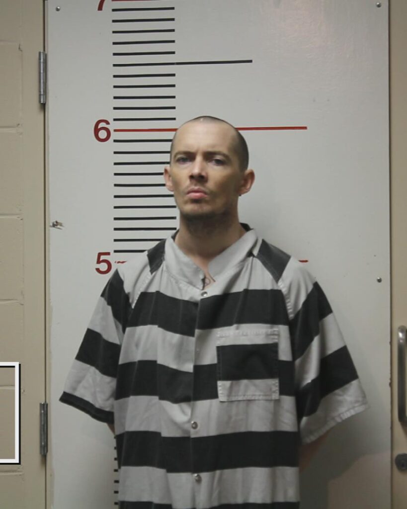 LOGGAINS, VICTOR LEVON booking photo