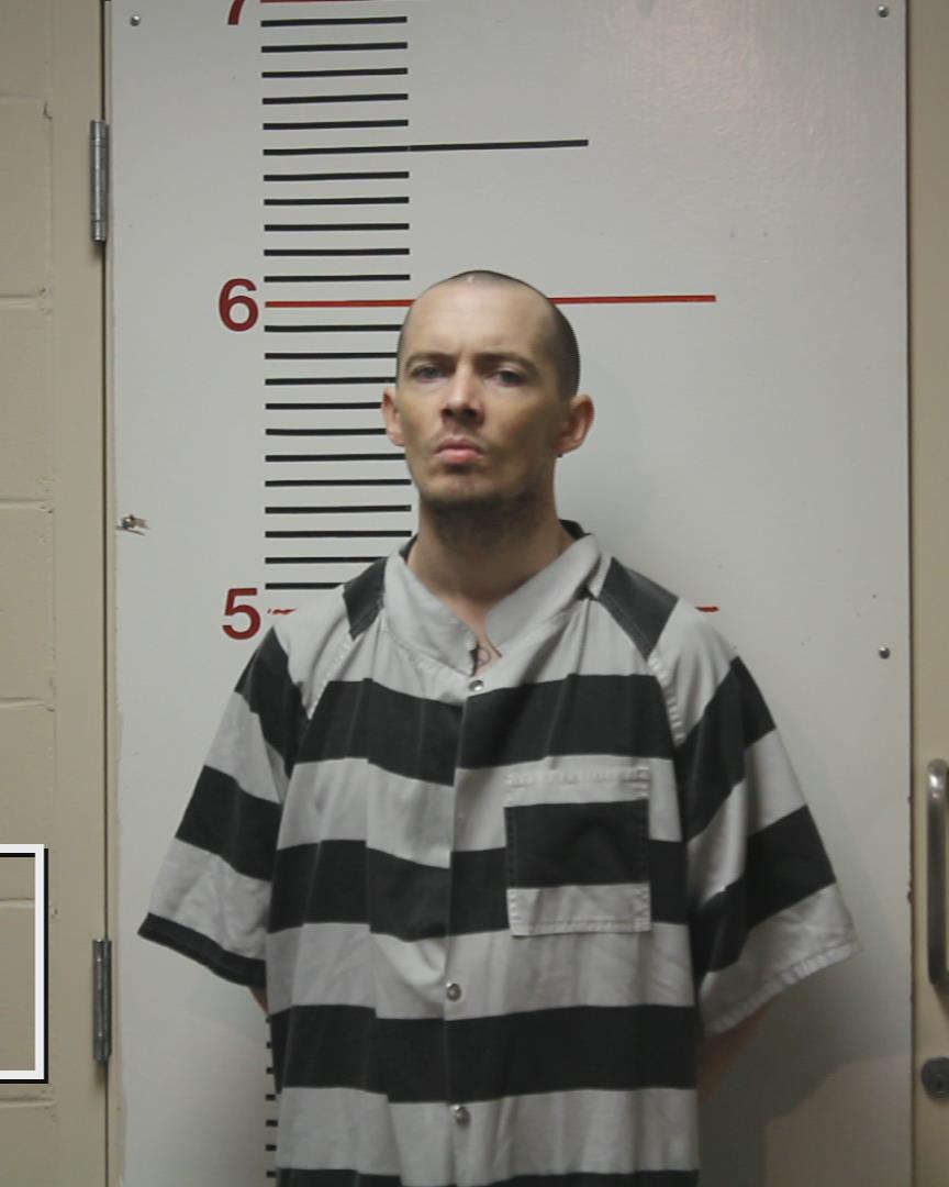 LOGGAINS, VICTOR LEVON arrested by Palestine Police Dept.