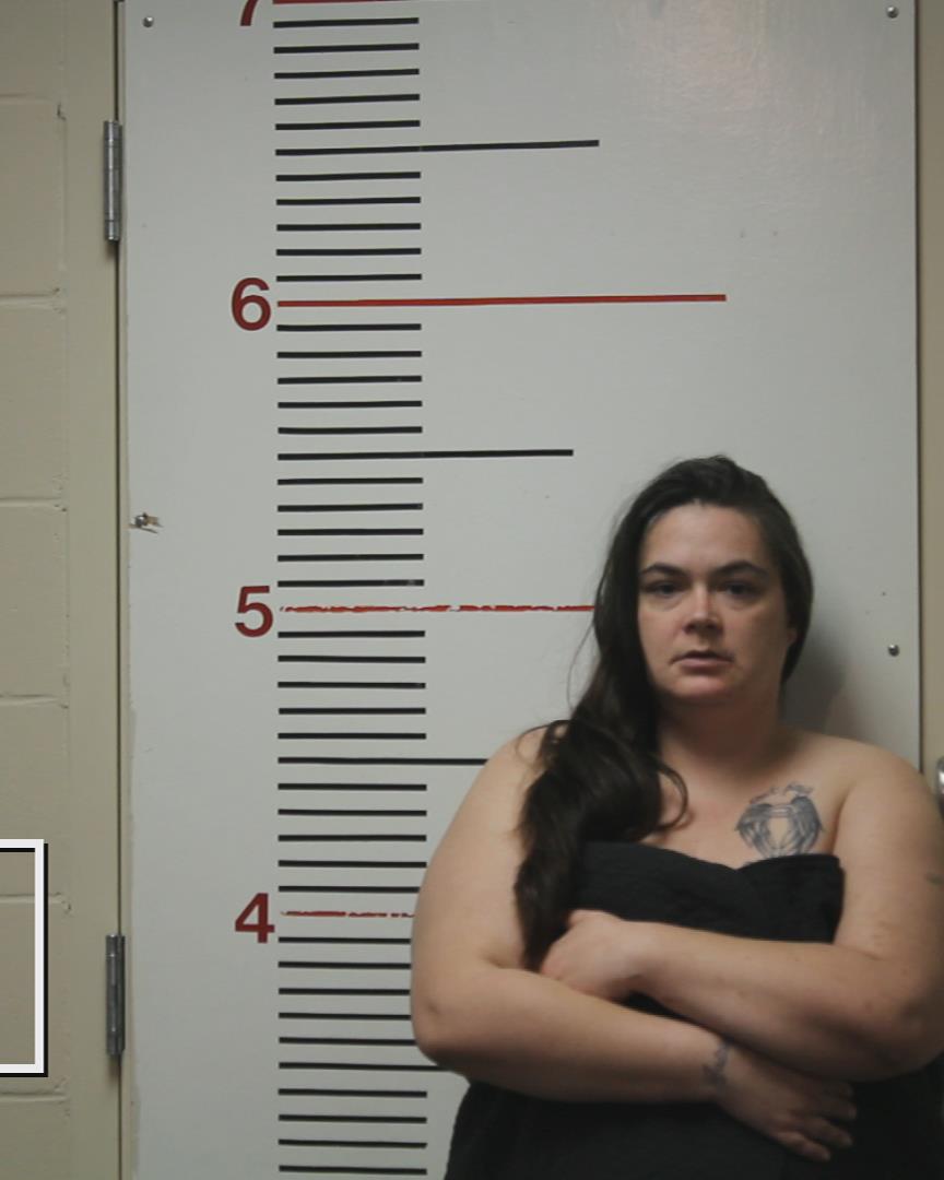 FREEMAN, JESSICA LYNN arrested by Anderson County Sheriff’s Office