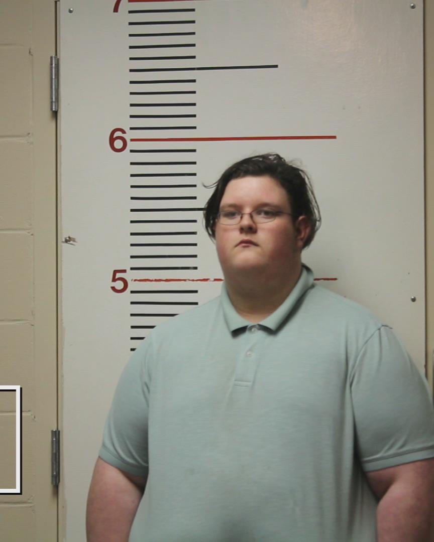 HOMANN, WILLIAM ALEXANDER arrested by Palestine ISD Police Department