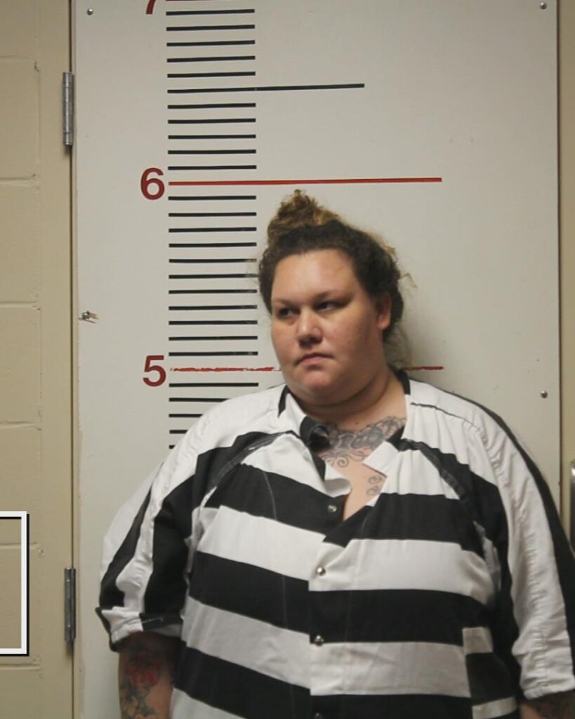 LUFSEY, STEPHANIE RENEE booking photo