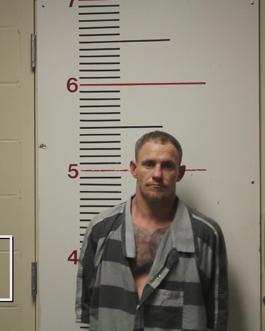 MEDFORD, THOMAS FRANKLIN, III arrested by Palestine Police Dept.