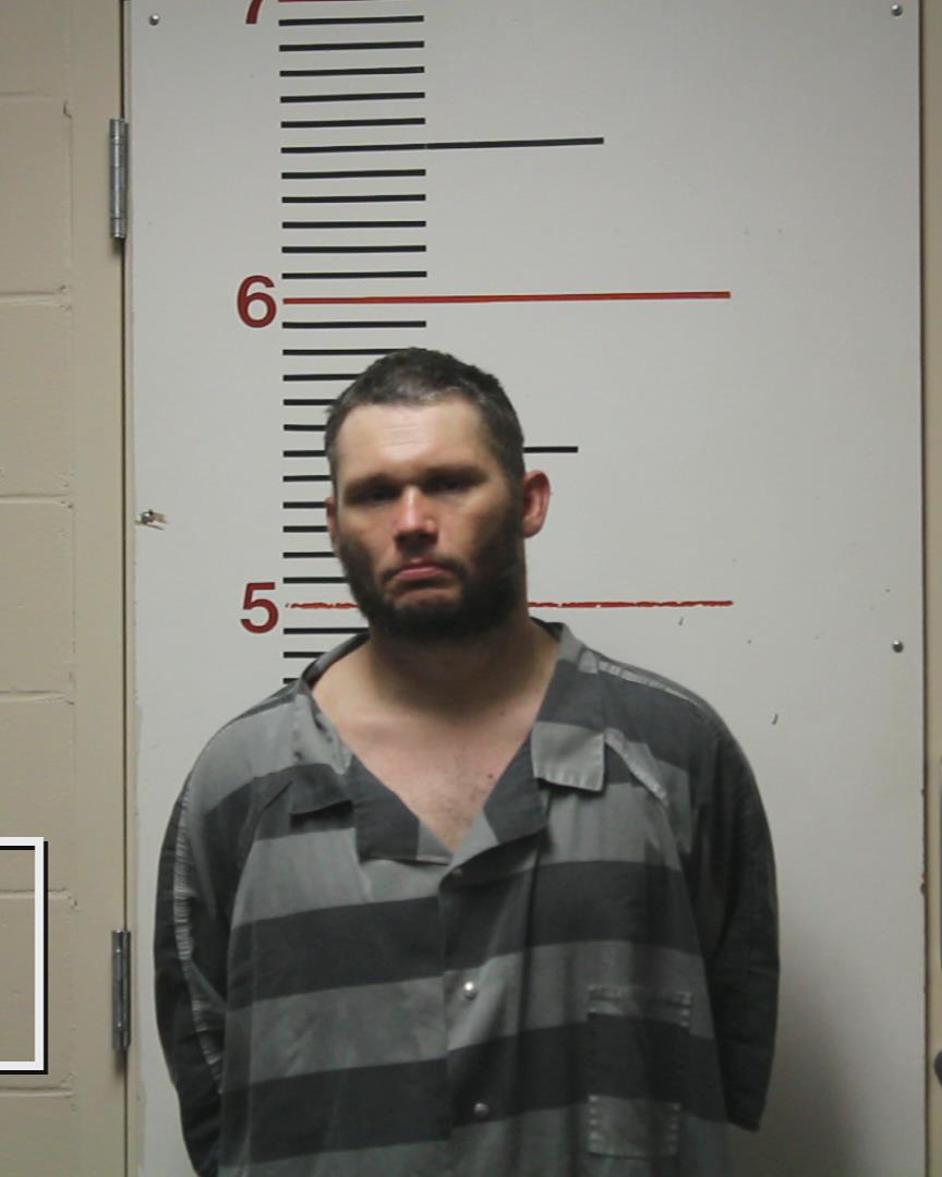 OSTRANDER, STEVEN, II arrested by Palestine Police Dept.