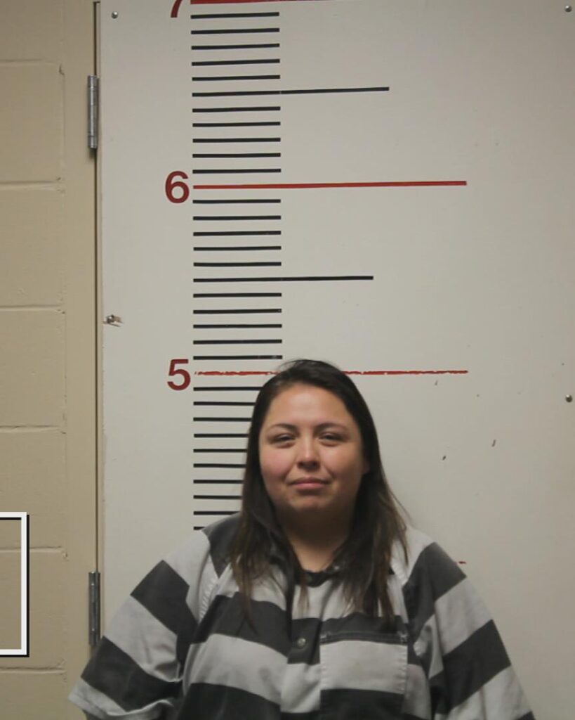 SANTIAGO-ALEMAN, KARINA booking photo