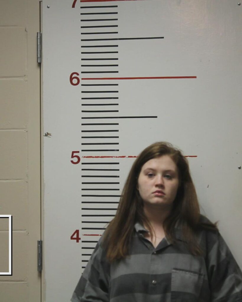 SHIPP, ERIN MICHELLE booking photo