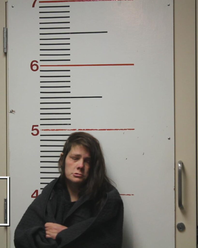 BOSE, BARBARA KAY booking photo