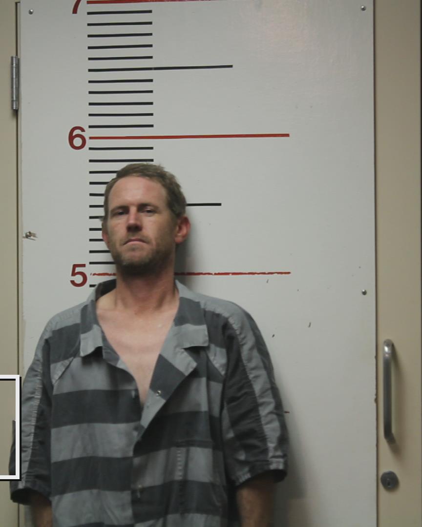 GOODWIN, LARRY WILLIAM arrested by Palestine Police Dept.