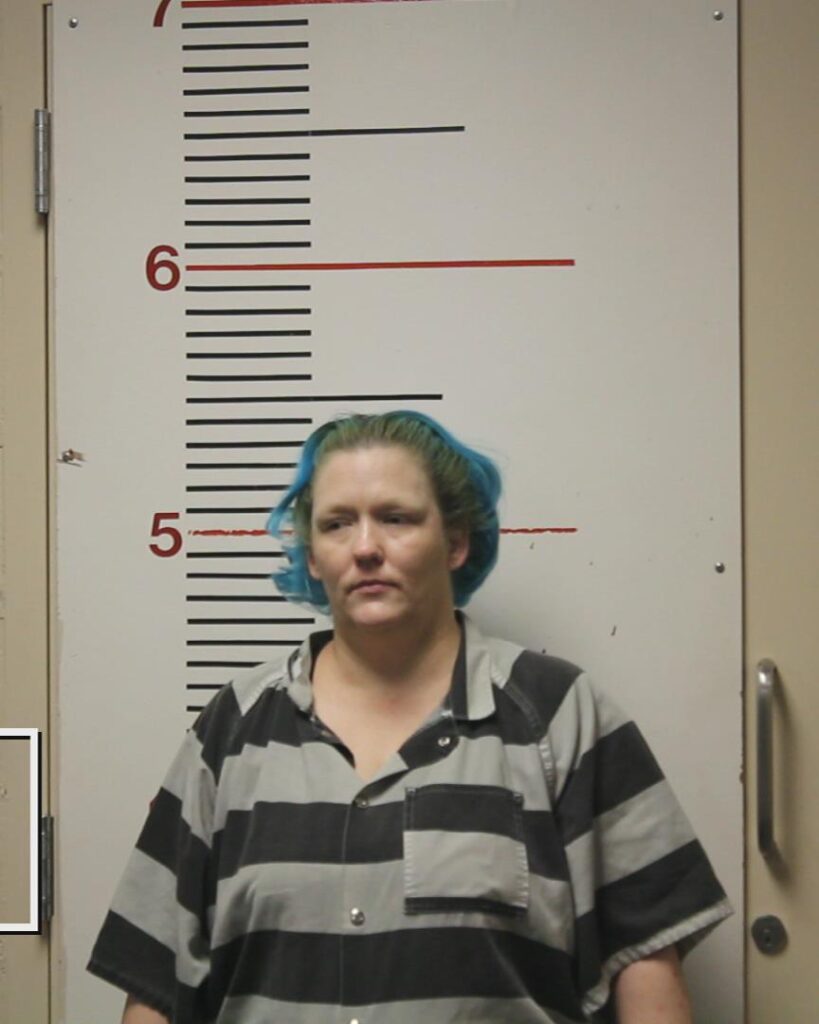 MAGEE, AMANDA SUE booking photo