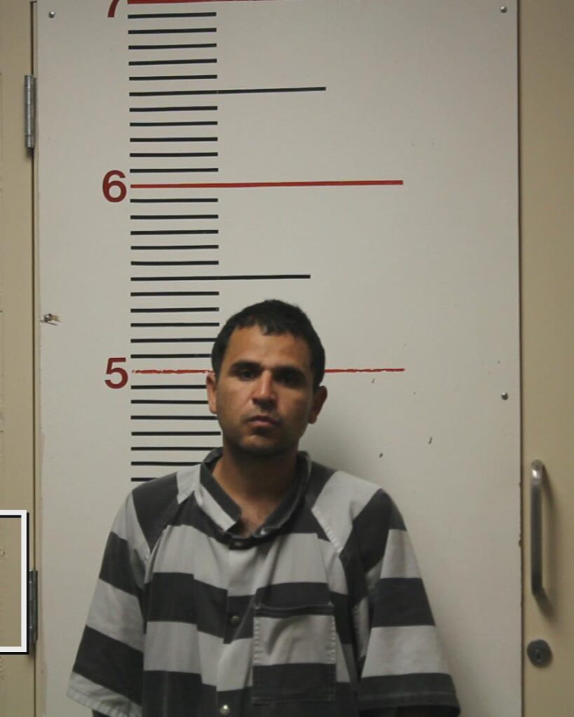 DAVIS, BRAULIO MEDRANO booking photo