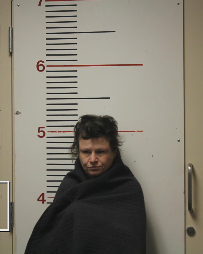 BUTLER, TAMRA DENISE arrested by Anderson County Sheriff’s Office