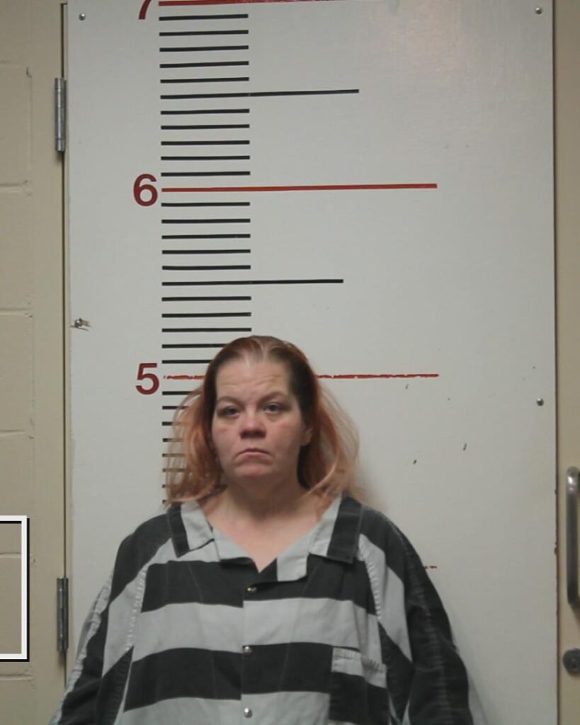 REDDIC, JENNIFER ROSE booking photo