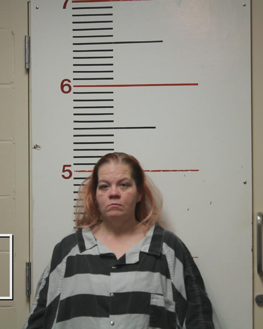 REDDIC, JENNIFER ROSE arrested by Palestine Police Dept.