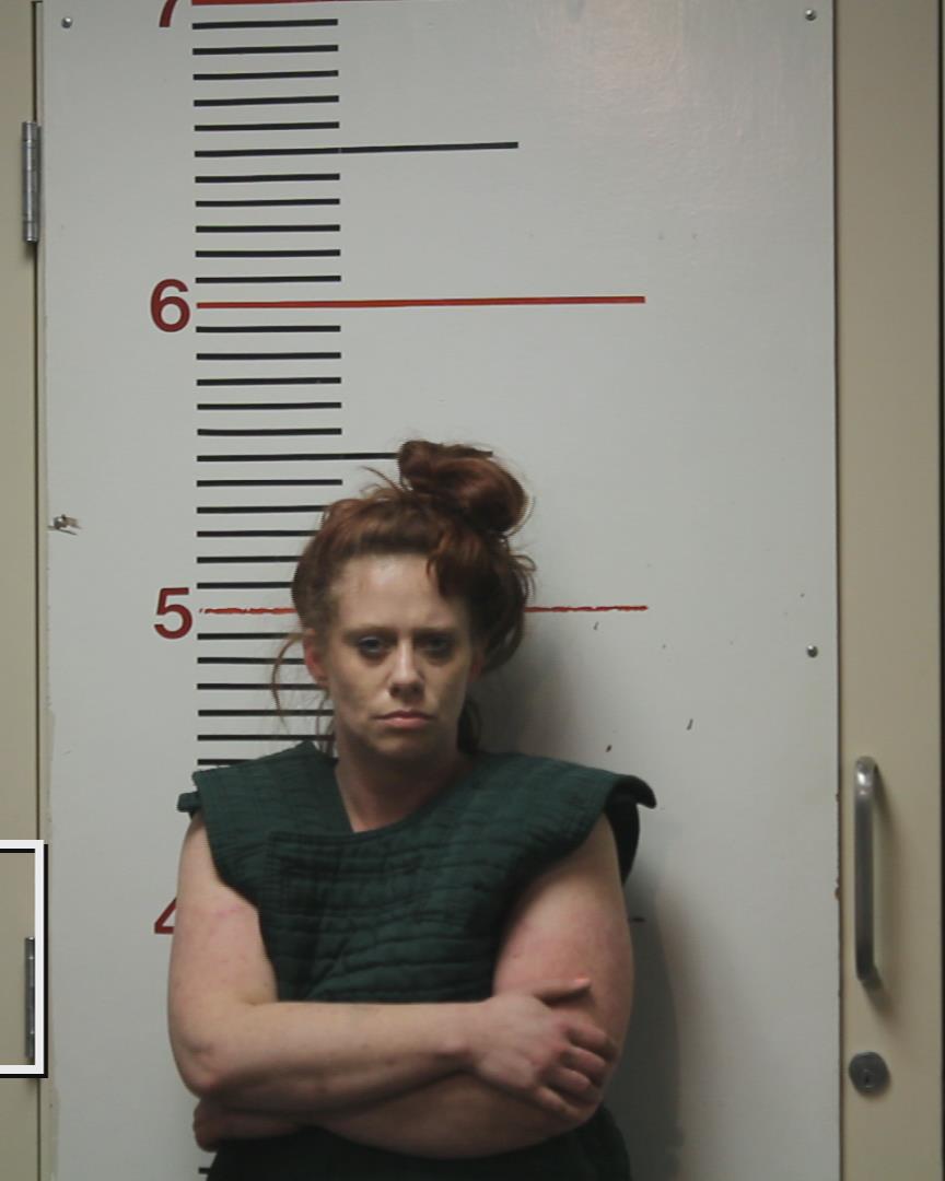 ZATOR, TONYA RENEE arrested by Palestine Police Dept.