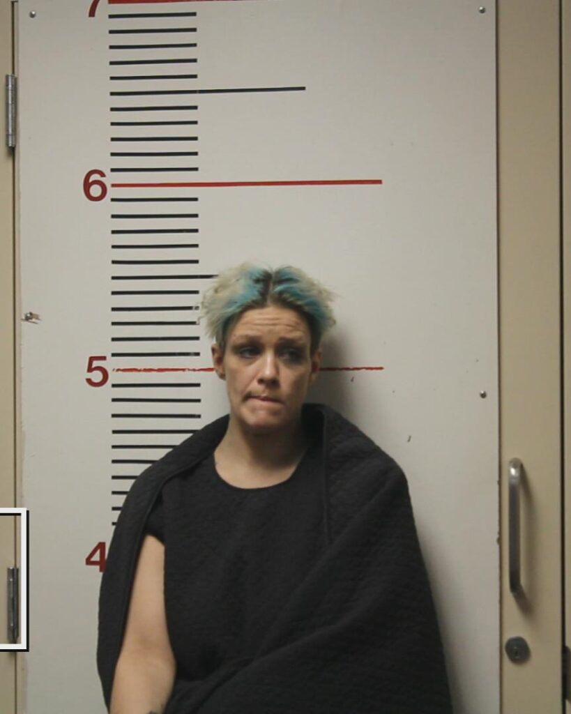 HARRISON, DEZERE LYNNE booking photo