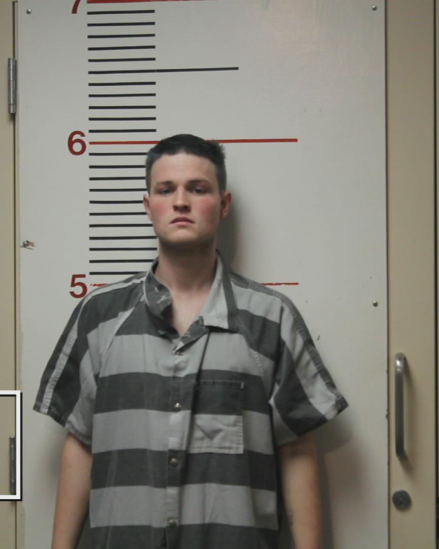 Holloway, Jacob Paul arrested by Palestine Police Dept.