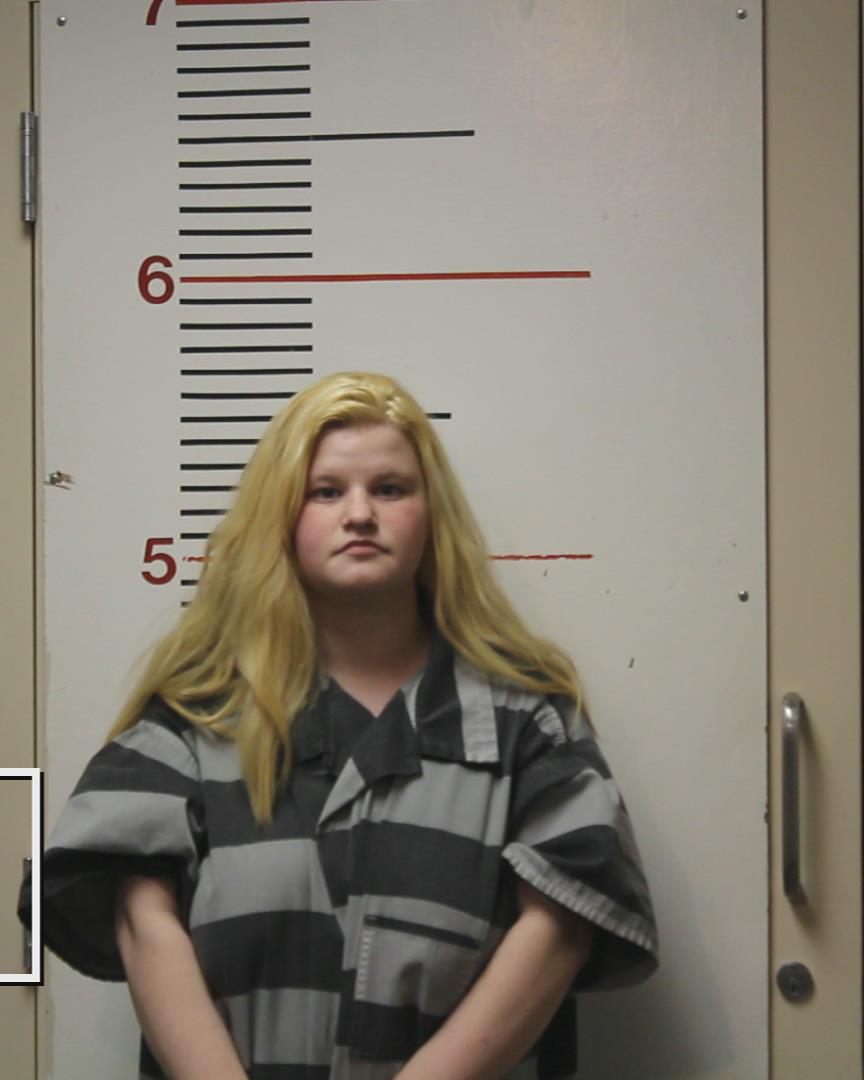 SPURLOCK, DESTINY LYNN arrested by Palestine Police Dept.
