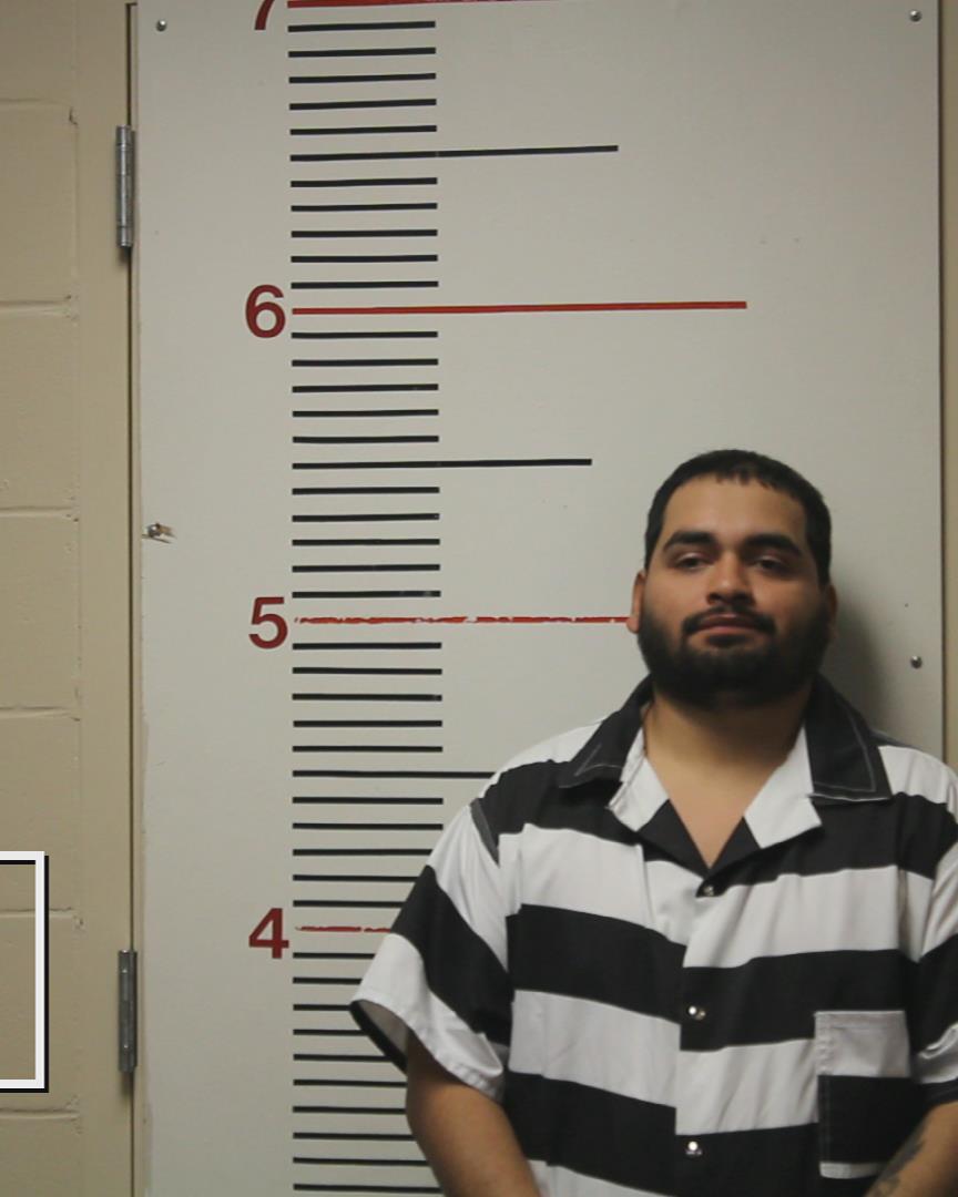 GARCIA, ROLANDO arrested by Palestine Police Dept.