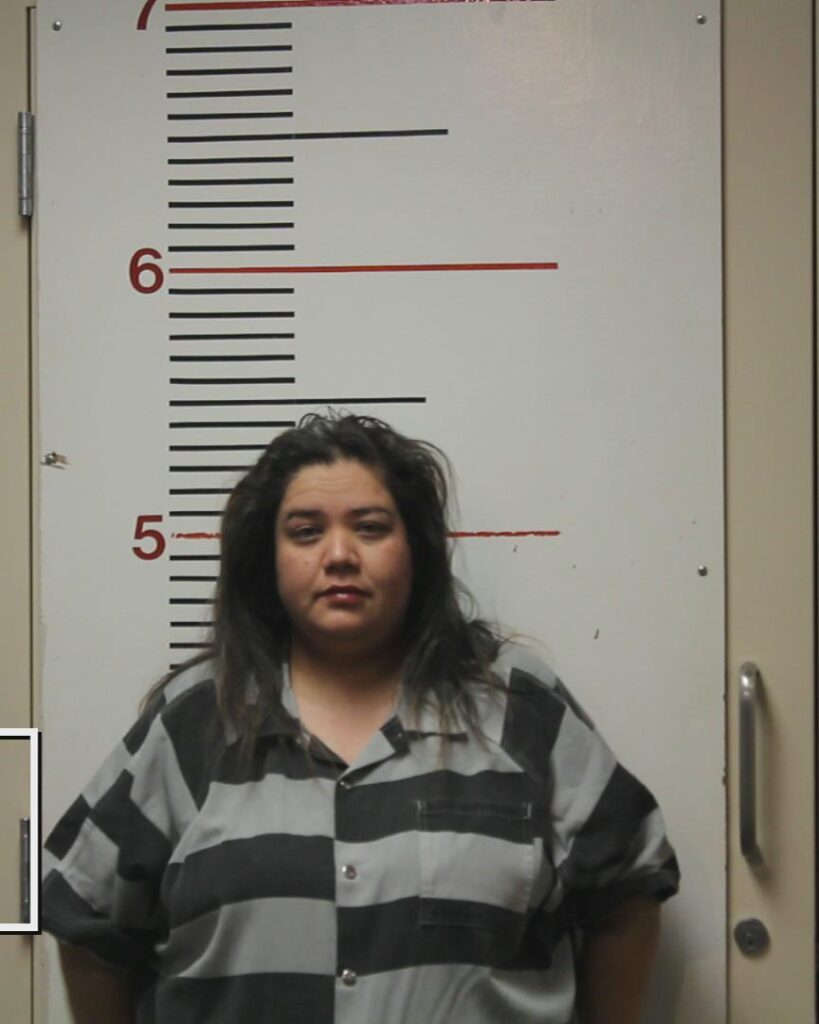 ESTRADA, MARLEEN booking photo