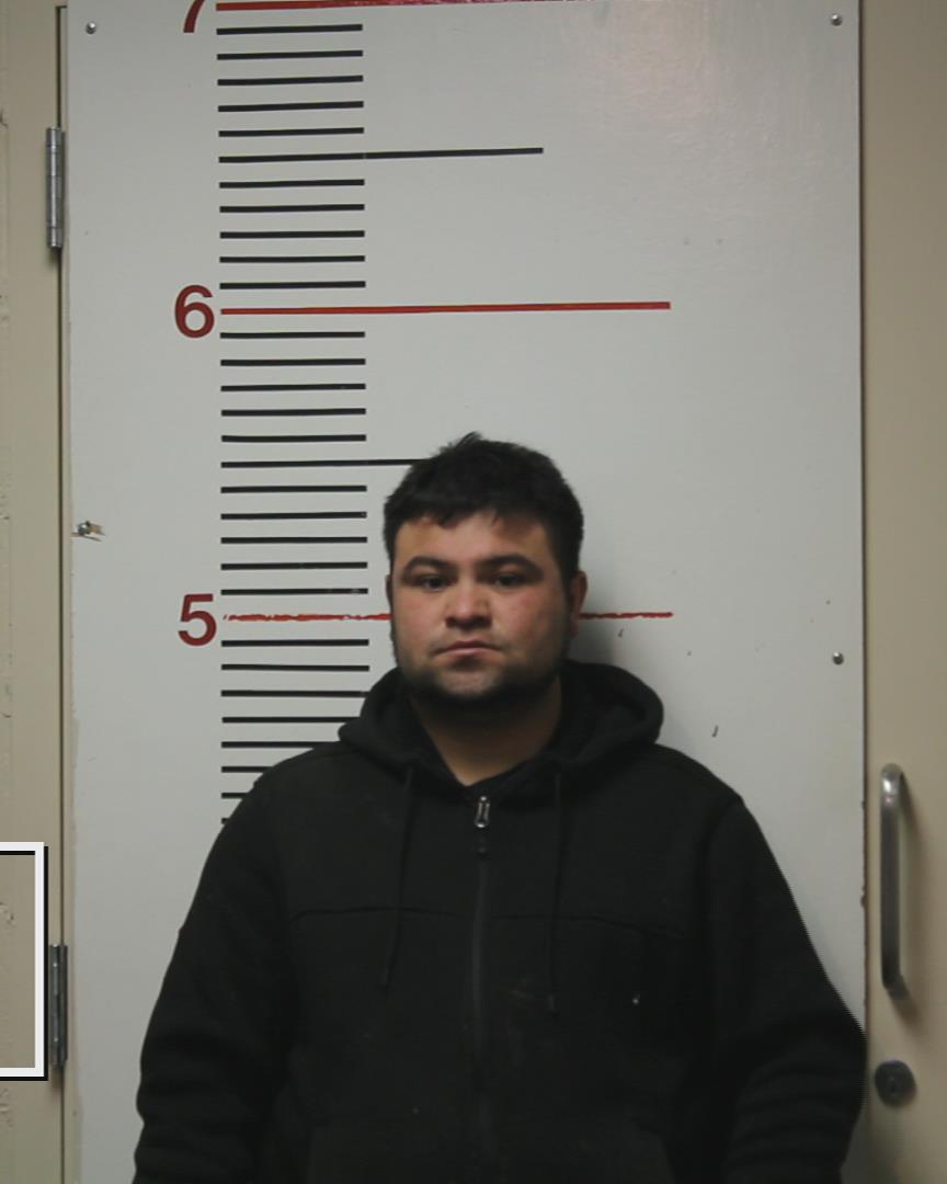 CASTILLO-SERRANO, ELMER DAVID arrested by Anderson County Sheriff’s Office